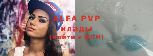 стаф Надым