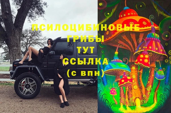 стаф Надым